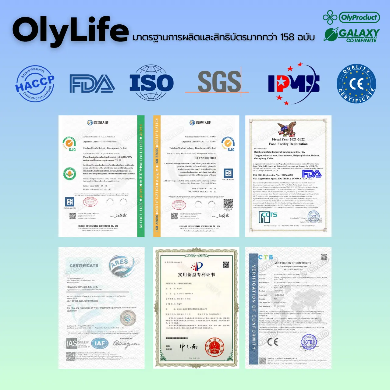 OlyLife-Certificate-TH